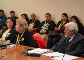 Diputado Celedón tras primera sesión de Comisión Caso Bruma: “Esta tragedia debemos transformarla en prevención y seguridad para los pescadores artesanales”