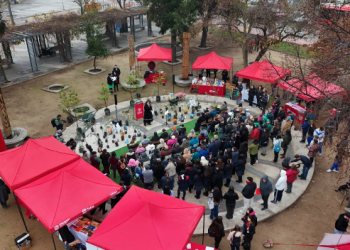 Municipalidad de Talca celebró el Día Mundial del Medio Ambiente con la plantación de 50 árboles nativos en el Parque Piduco
