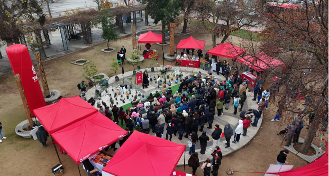 Municipalidad de Talca celebró el Día Mundial del Medio Ambiente con la plantación de 50 árboles nativos en el Parque Piduco
