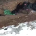 Rescatan a cinco excursionistas en Romeral; otros cuatro siguen desaparecidos