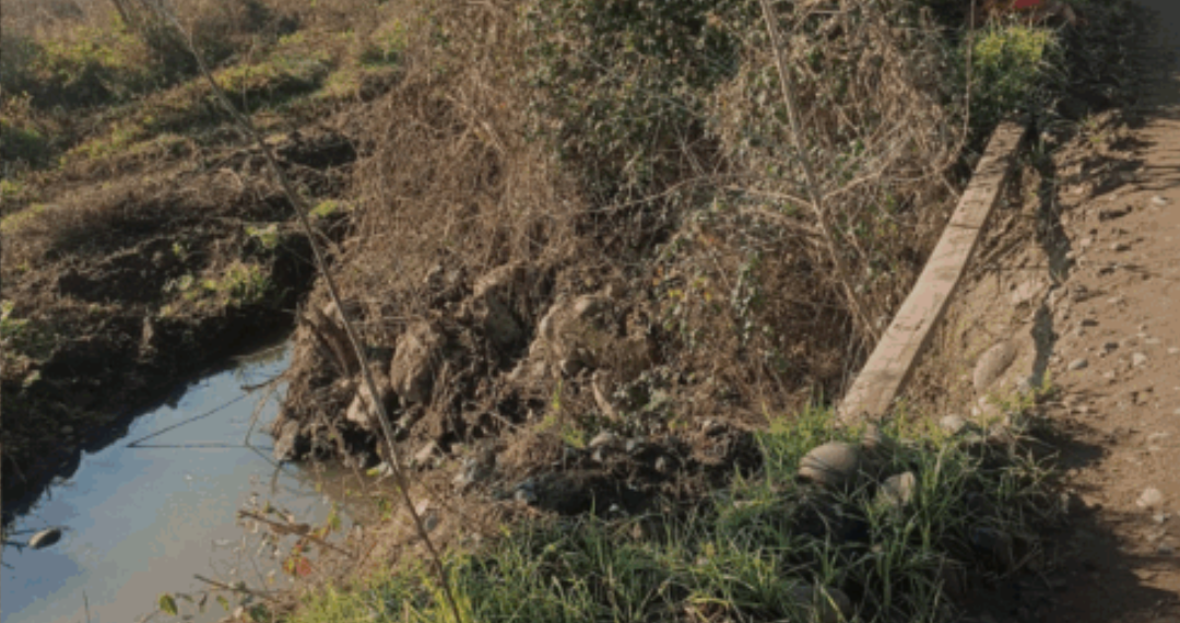 Vecinos de Providencia en Talca exigen reparación urgente de ruta rural