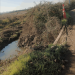 Vecinos de Providencia en Talca exigen reparación urgente de ruta rural
