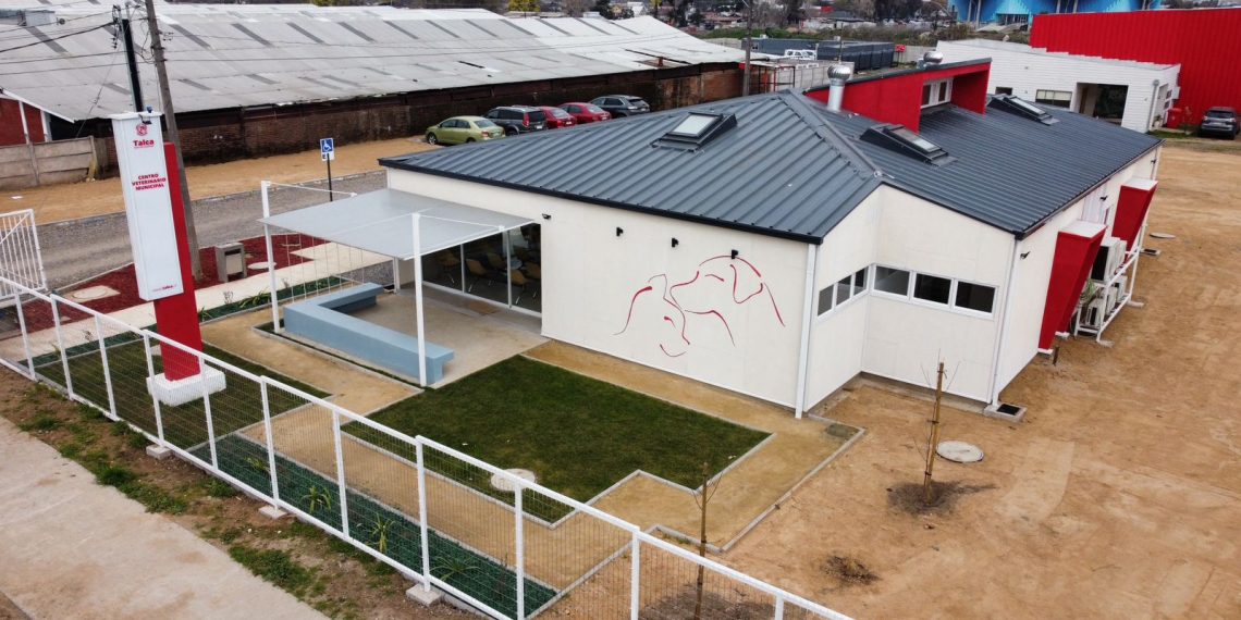 Centro Veterinario Municipal de Talca supera las 49 mil atenciones gratuitas a perros y gatos
