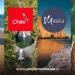 “Prefiero el Maule” celebra 5 años con taller gratuito para emprendedores junto a Marca Chile