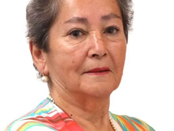 Búsqueda de la concejala María Ignacia González con sonar multihaz finaliza este domingo en el río Loncomilla