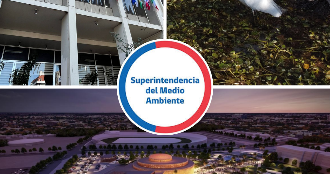 De acreditarse infracciones a la normativa ambiental, SMA podría aplicar sanciones por denuncias contra Casino Dreams Talca
