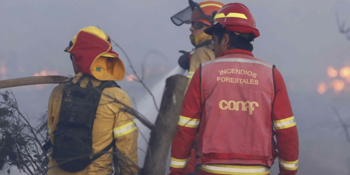 CONAF Maule despide de inmediato a dos brigadistas captados jugando con brasas en base de Romeral