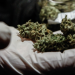 PDI desbarata dos puntos de microtráfico en Longaví tras incautar cocaína y plantación ilegal de cannabis