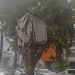 Desalojan “casa en el árbol” frente al Hospital Regional de Talca tras casi dos años de ocupación irregular