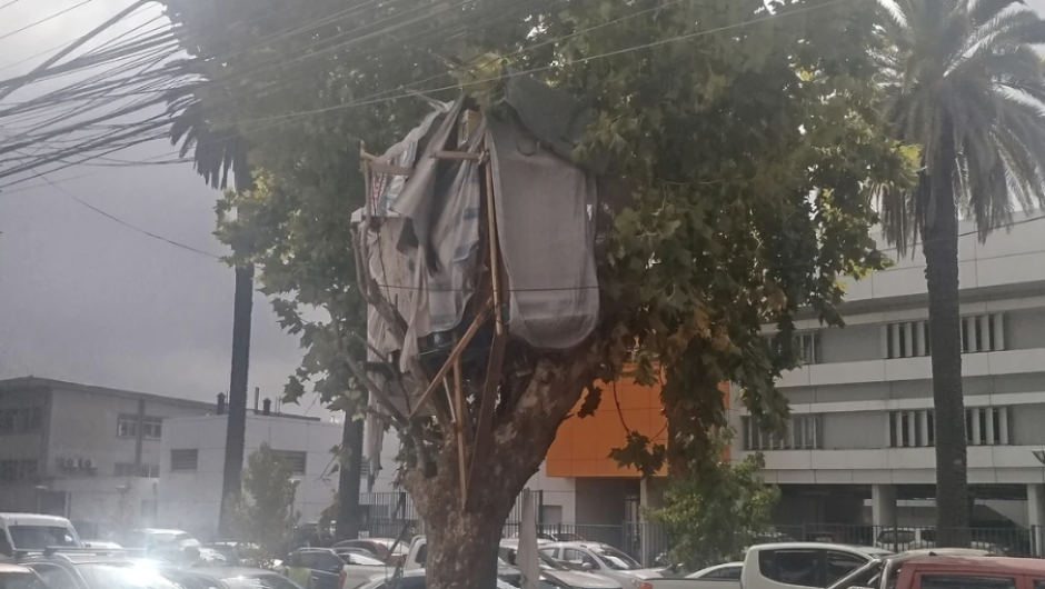 Desalojan “casa en el árbol” frente al Hospital Regional de Talca tras casi dos años de ocupación irregular