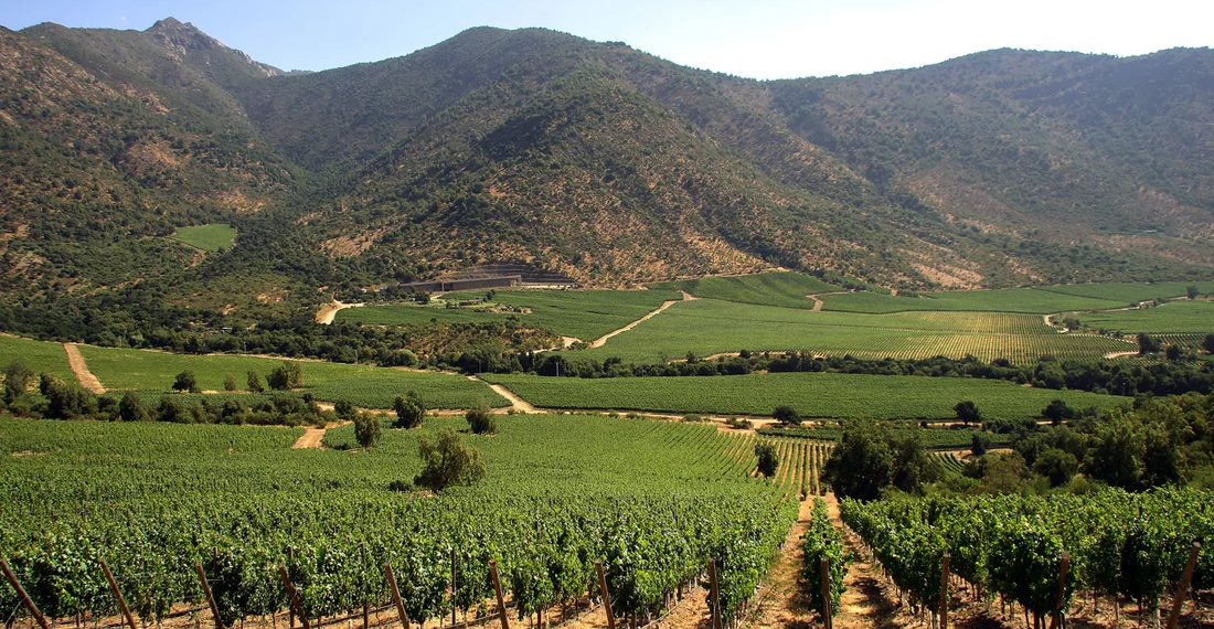 Gobierno Regional impulsa candidatura del Paisaje Vitivinícola del Maule como patrimonio UNESCO