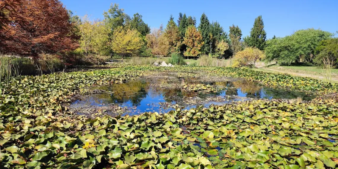 Universidad de Talca cierra Jardín Botánico tras detectar virus de influenza aviar H5N1 en aves silvestres