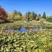 Universidad de Talca cierra Jardín Botánico tras detectar virus de influenza aviar H5N1 en aves silvestres