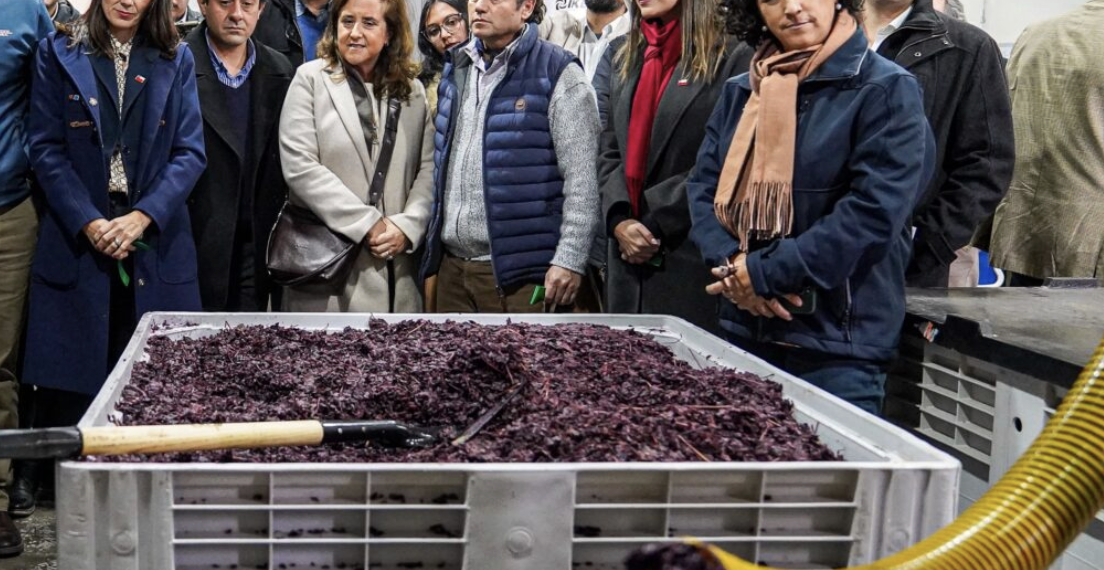 Maule apuesta por la economía circular con planta que transforma residuos agrícolas en nuevos productos