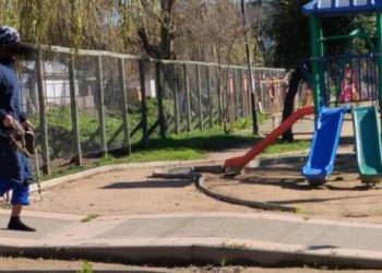 Denuncian presunta caza ilegal de patos en Talca: vecinos piden mayor fiscalización