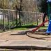 Denuncian presunta caza ilegal de patos en Talca: vecinos piden mayor fiscalización