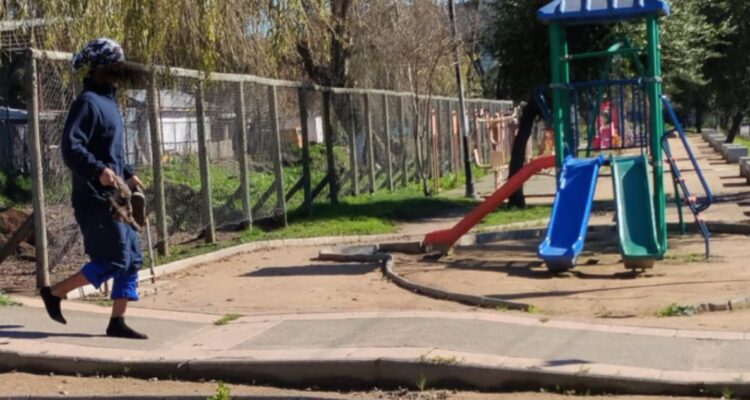 Denuncian presunta caza ilegal de patos en Talca: vecinos piden mayor fiscalización